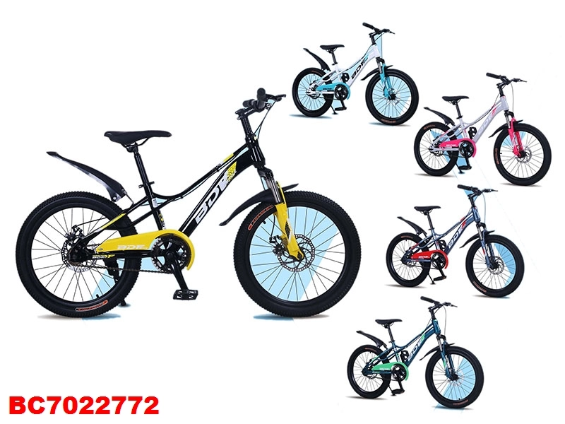 Child Bicycle—20 Inch Kids Mountain Bike Dual Disc Brakes