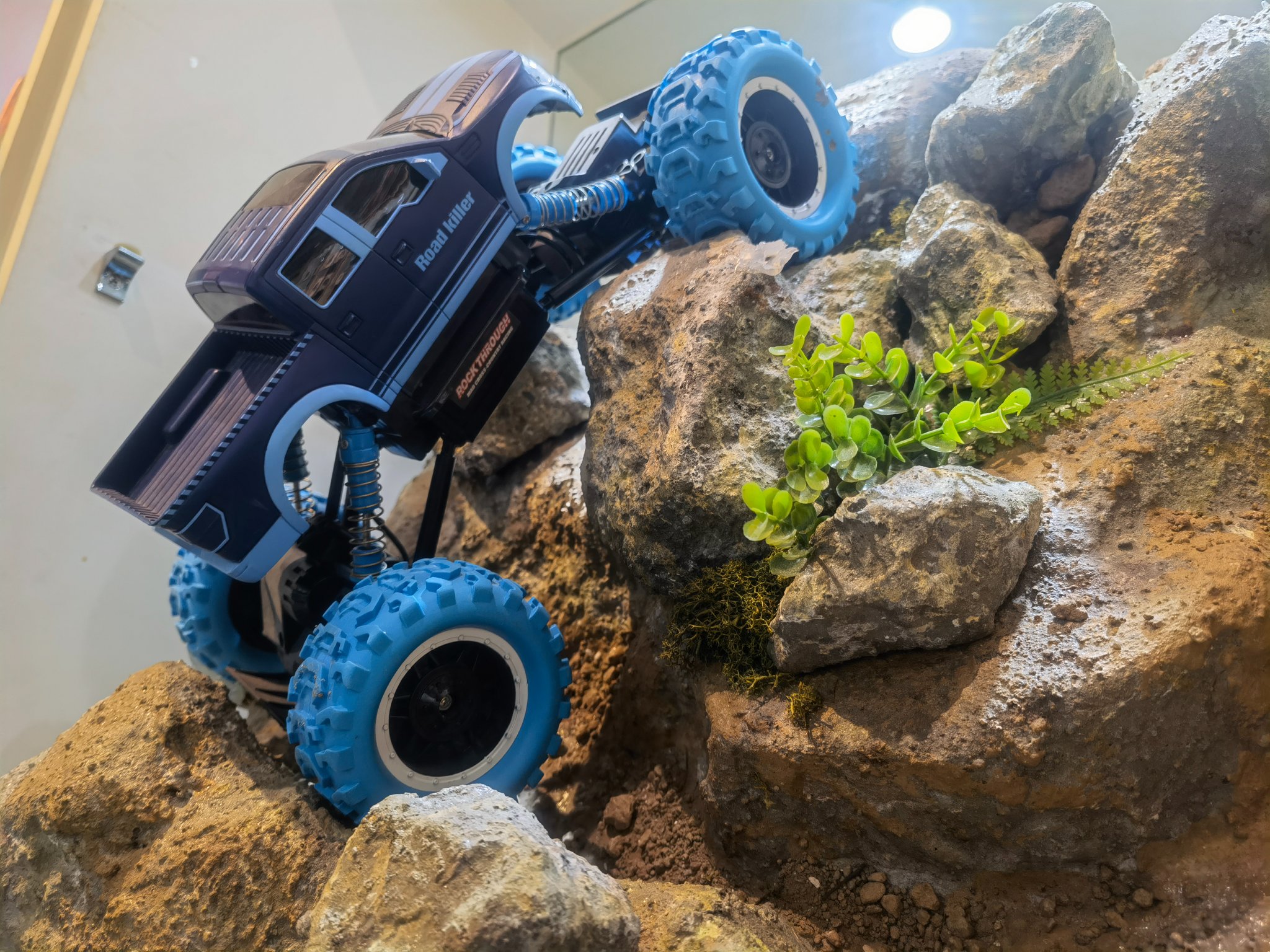  RC cars 