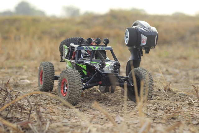 remote control (RC) toys