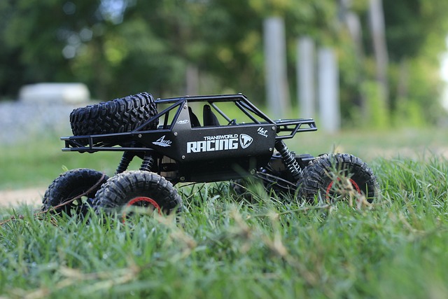 remote control cars